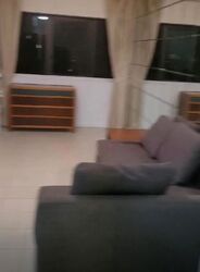 Bayshore Park (D16), Condominium #637817721